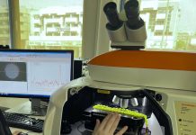 DCL Develops Counterfeit Detection Test for Precious Stones, Metals Dubai Central Laboratory(DCL) has developed a detection test to assess the authenticity of gemstones, precious metals, and amber stones.