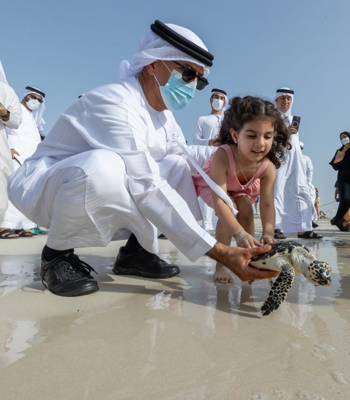 The Environment Agency and The National Aquarium Abu Dhabi (TNA) have safely returned 250 sea turtles back into open waters.