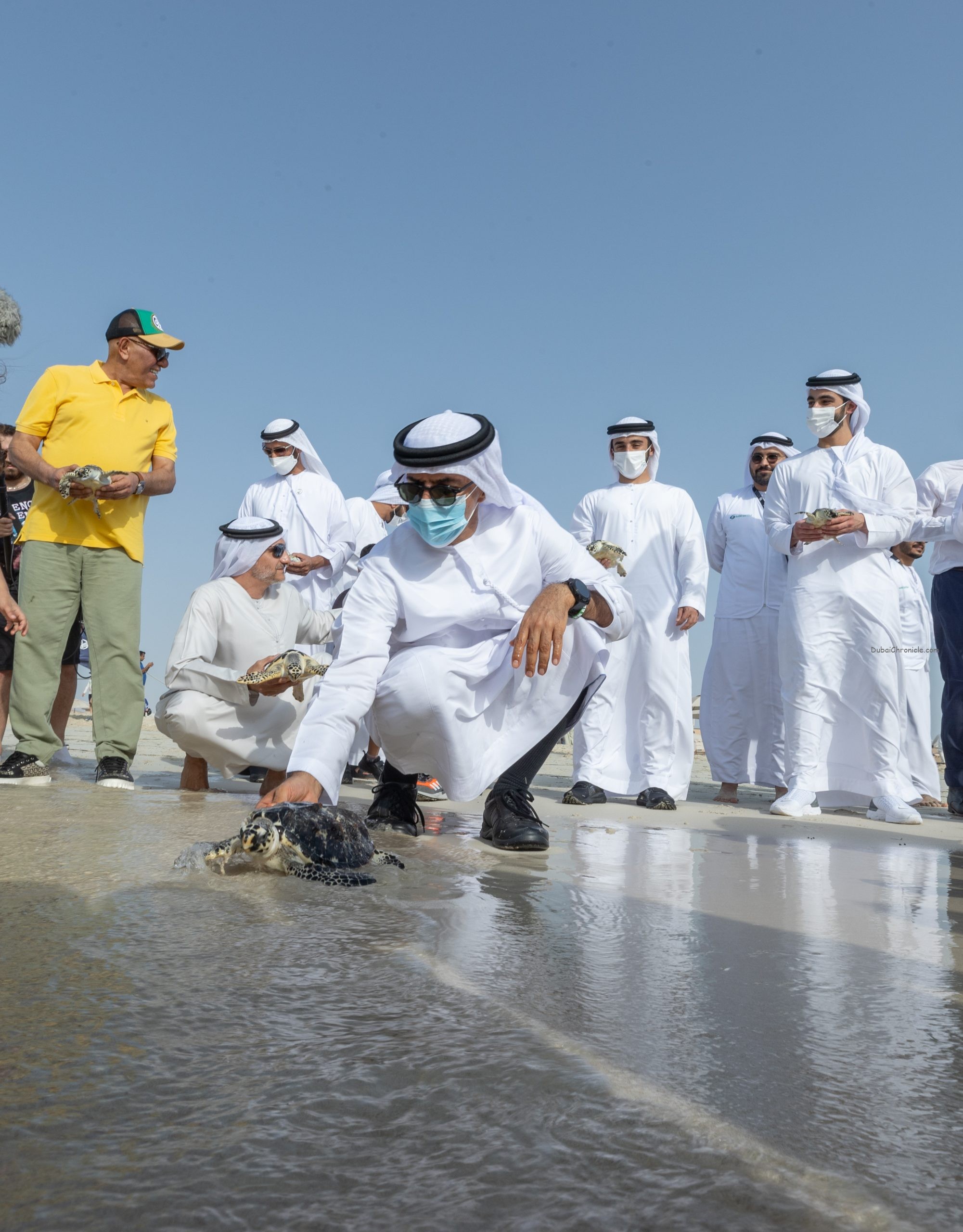 The Environment Agency and The National Aquarium Abu Dhabi (TNA) have safely returned 250 sea turtles back into open waters.