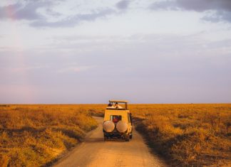 Almost Half of Adults In UAE Set To Go On Winter Holiday The UAE is leading the way for travel, with 93% of people planning to go on holiday in the next 12 months.