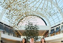 Dubai Hills Mall Introduces an All-New Loyalty Rewards Programme Dubai Hills Mall – Emaar’s newest lifestyle shopping destination has partnered with Tickit to introduce an all-new loyalty programme this December.