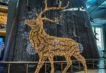 Emaar Malls Rings in The Festive Season with A Host of Incredible Décor and Experiences for Everyone Dubai Mall, Dubai Hills Mall, and Dubai Marina Mall are ringing in the 2022 festive season and 28th edition of the Dubai Shopping Festival.