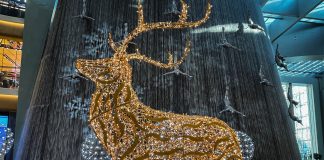 Emaar Malls Rings in The Festive Season with A Host of Incredible Décor and Experiences for Everyone Dubai Mall, Dubai Hills Mall, and Dubai Marina Mall are ringing in the 2022 festive season and 28th edition of the Dubai Shopping Festival.