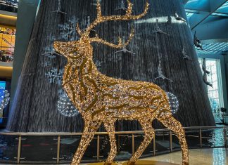 Emaar Malls Rings in The Festive Season with A Host of Incredible Décor and Experiences for Everyone Dubai Mall, Dubai Hills Mall, and Dubai Marina Mall are ringing in the 2022 festive season and 28th edition of the Dubai Shopping Festival.