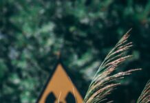 30% of AI Projects to Be Abandoned After Proof of Concept by 2025 At least 30% of generative AI (GenAI) projects will be abandoned after proof of concept by the end of 2025