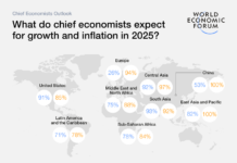 Economic Outlook for 2025: Key Trends and Challenges