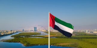 UAE GDP Grows 3.9% in Q1 2025 Driven by Non-Oil Sectors