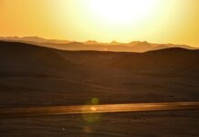Heatwaves: A Growing Health Threat and How to Stay Safe