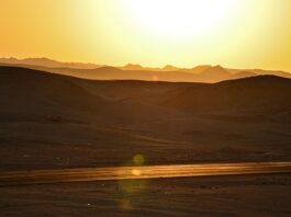 Heatwaves: A Growing Health Threat and How to Stay Safe