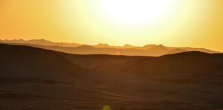 Heatwaves: A Growing Health Threat and How to Stay Safe