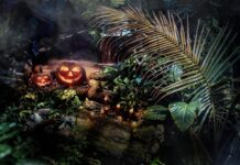 Halloween Comes Alive with Dubai Holding Entertainment Across Dubai