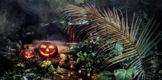 Halloween Comes Alive with Dubai Holding Entertainment Across Dubai