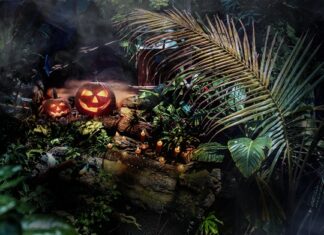 Halloween Comes Alive with Dubai Holding Entertainment Across Dubai