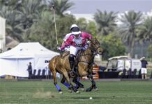 UAE Polo Federation Cup Final This Weekend