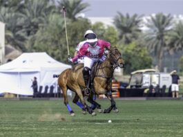 UAE Polo Federation Cup Final This Weekend