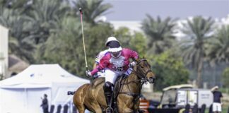 UAE Polo Federation Cup Final This Weekend