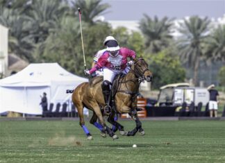 UAE Polo Federation Cup Final This Weekend